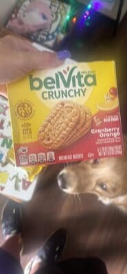 Belvita Crunchy Cranberry Orange Breakfast Biscuits