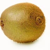 Hayward Kiwi