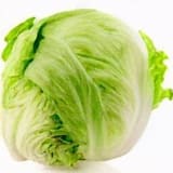 Green Cabbage