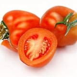 Italian Roma Tomato