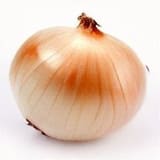 Spanish Onion