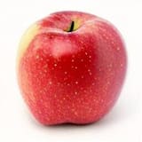 McIntosh Apple