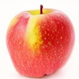 Organic Gala Apple