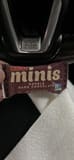Larabar Minis Double Dark Chocolate