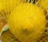 Chenail Import Export Lemons