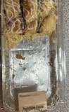 Hannaford Brand Raspberry Strip Danish