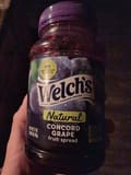 Welch's CONCORD GRAPE fruit spread