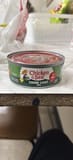 Chicken Of The Sea Chunk Light Tuna