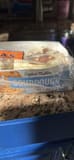 Thomas' English Muffins Sourdough