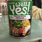 Well Yes! Italian-Style Wedding