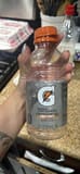 Gatorade Fruit Punch