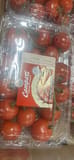 Sunset Campari Fair Trade