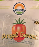 Sunset Angel Sweet Mini Red Lady Sweet Tomatoes