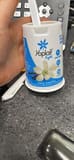 Yoplait Light Very Vanilla