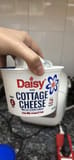 Daisy Cottage Cheese