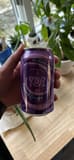 Yoi Concord Grape