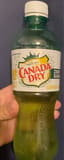 Canada Dry Ginger Ale Zero Sugar