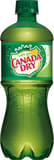Canada Dry Ginger Ale