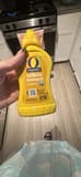 O Organic Organic Yellow Mustard