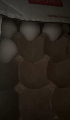 Member's Mark Cage Free Grade AA Large Eggs