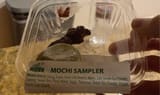 Kikka Mochi Sampler