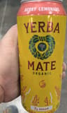 Guayaki Berry Lemonade YERBA MATE