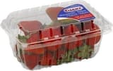 Giant Berry Farms Strawberries