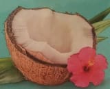 Healthy Crunch Coconut chips