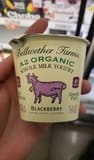 Bellwether Farms Blackberry A2 yogurt