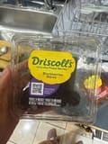 Driscoll's Blackberries