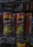 Profood International Corp. Philippine guava juice nectar