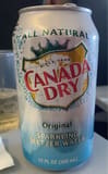 Canada Dry Sparkling Seltzer Water