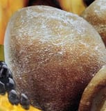 Tropical Fields Brown Sugar Boba Milk Tea Mochi