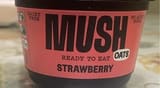 Mush Overnight Oats