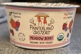 Painterland Sisters Meadow Berry Organic Skyr Yogurt