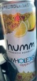 Humm Probiotic Kombucha