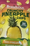 Branchout Crunchy Pineapple Chips