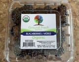 Ground-Fresh Berries Blackberries