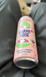 Wildwonder Prebiotic +probiotic sparkling drink
