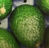 Adeac Avocado Adeac